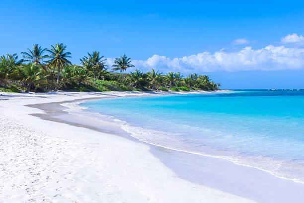 Villa Chill Spot Ceiba Esterno foto